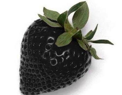 黑料.su吃瓜网站小鱼海棠