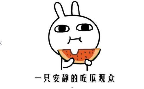 快手网红吃瓜黑料是真的吗,真相与谣言的交织