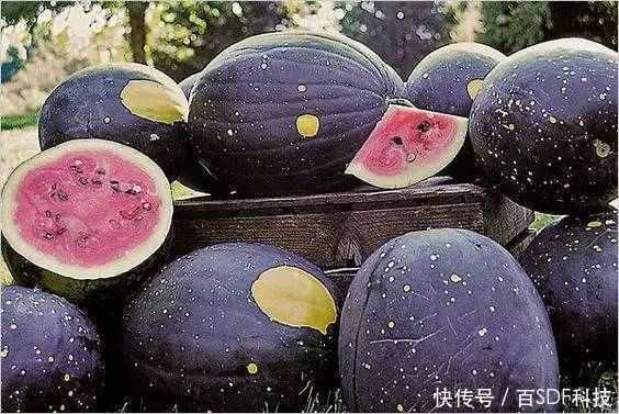黑牛黑料吃瓜热点