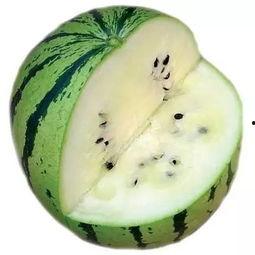 黑牛黑料吃瓜热点