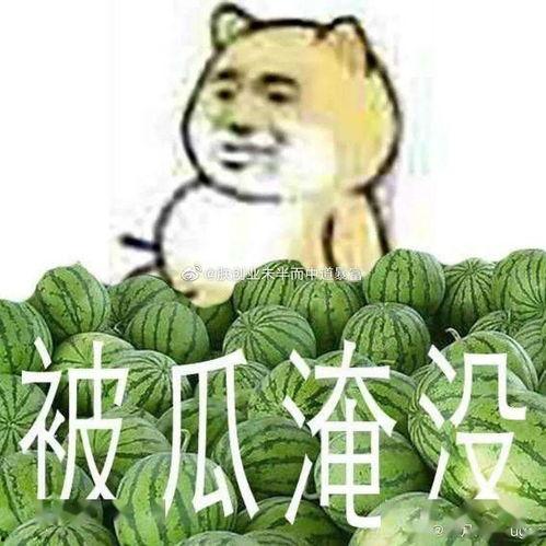 吃瓜黑料唐山,吃瓜黑料背后的真相与反思